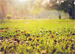 Terrain titré 200 M²